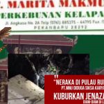 Dari Parit ke Liang Lahat: Tragedi Kemanusiaan di Kebun Sawit PT. MMJ