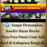 “Sangat Disayangkan, Kondisi Hutan Biosfer (Paru-Paru Dunia) Giam Siak Kecil di Kabupaten Bengkalis hingga saat ini”