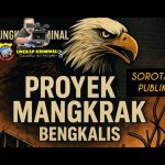 Proyek Mangkrak Berkisar Rp 41,8 Miliar: Warga Bengkalis Minta BPK-RI Perwakilan Provinsi Riau Segera Mengauditor?”